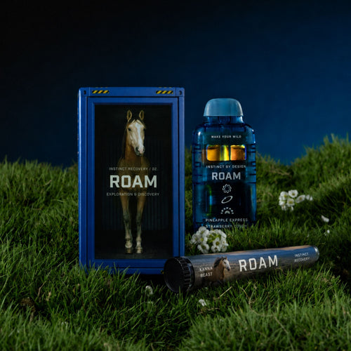 ROAM-02