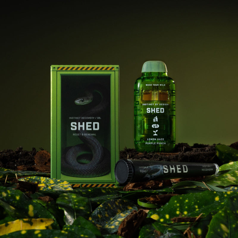 SHED-05