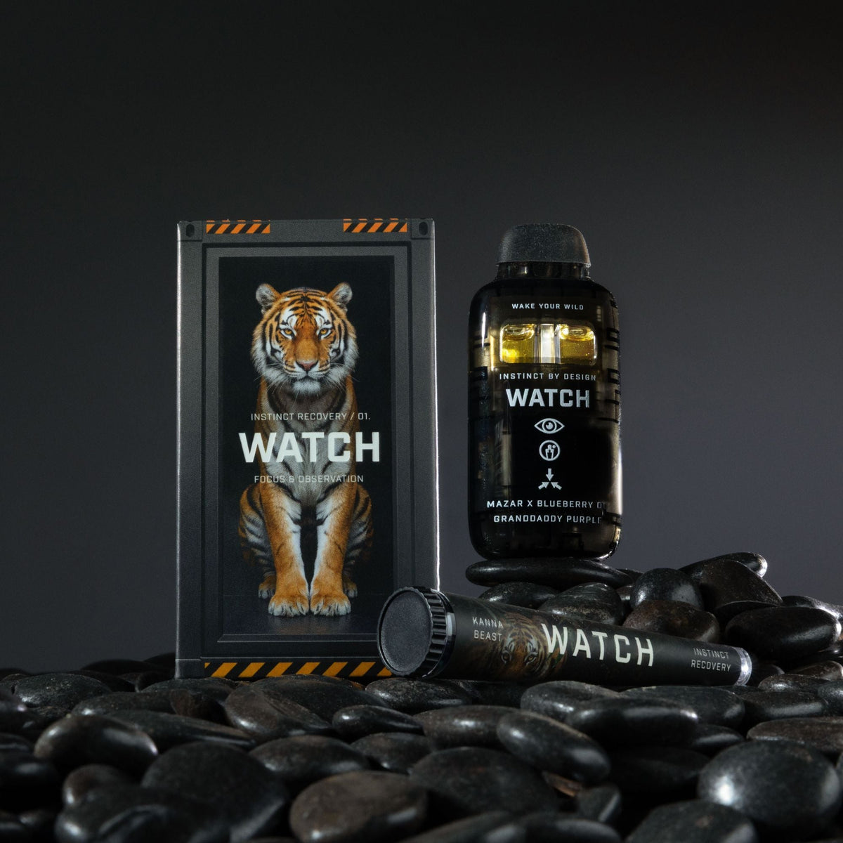 WATCH-01
